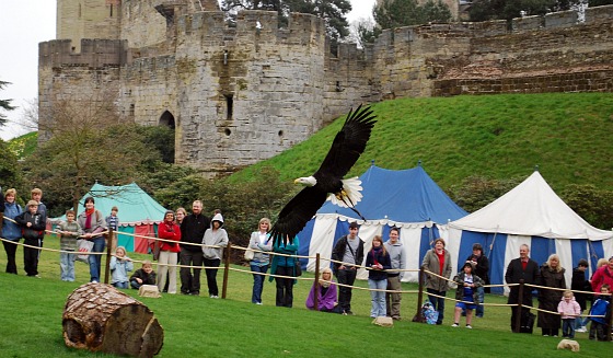 Warwick Castle Birds of Prey Show (www.free-city-guides.com) Warwick Castle Birds of Prey Show (www.free-city-guides.com)