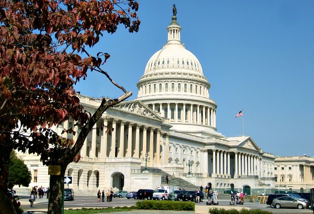 Washington US Capitol with tree