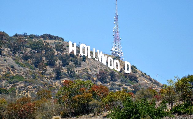 Los Angeles Hollywood Sign Dog Park