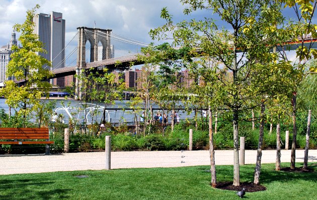 New York Brooklyn Bridge Park View