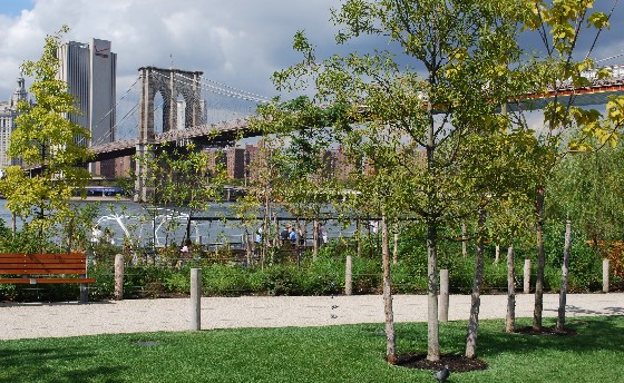 New York Brooklyn Bridge Park with trees (www.free-city-guides.com ...