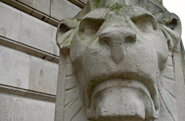 Nottingham Council House Right Lion