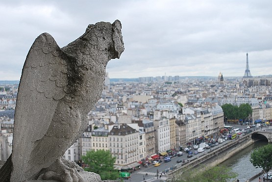 Paris Notre Dame tower view (www.free-city-guides.com)