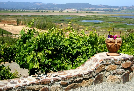 San Francisco Wine Country landscape (www.free-city-guides.com)