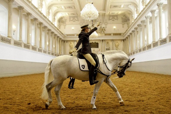 Vienna Spanish Riding School demonstration