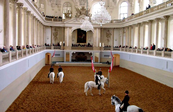 Vienna Spanish Riding School viewing gallery