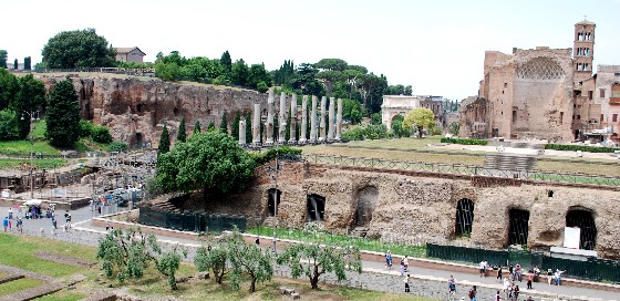 Roman Forum and Palatine Hill (www.free-city-guides.com)