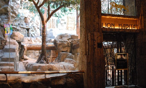 Las Vegas MGM Lion Habitat closed (www.free-city-guides.com)