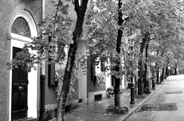 Boston Beacon Hill trees