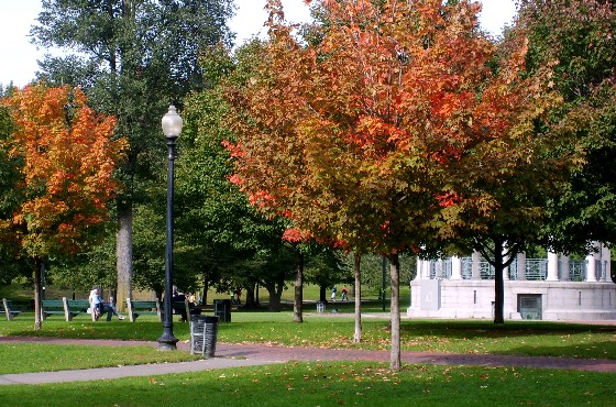 Boston Common in the fall (www.free-city-guides.com)