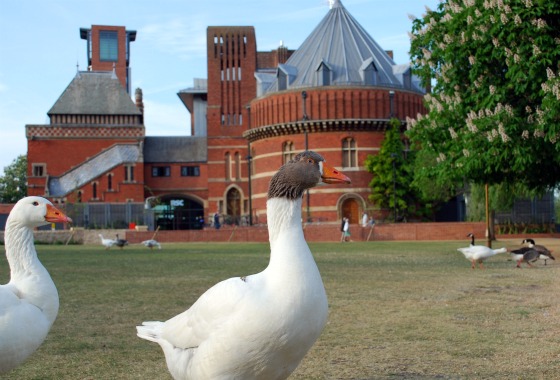 Stratford RSC rear view with geese (www.free-city-guides.com)