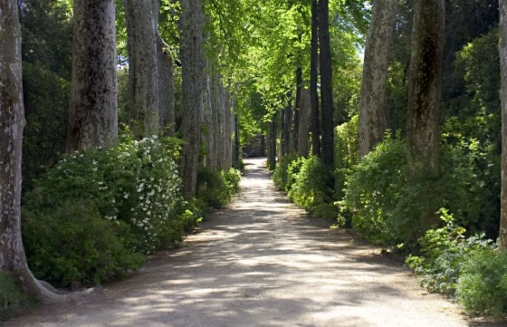 Florence Boboli Gardens walkway by Adrian Boughey