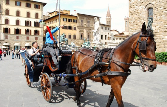 Florence piazza della signoria horse (www.free-city-guides.com)