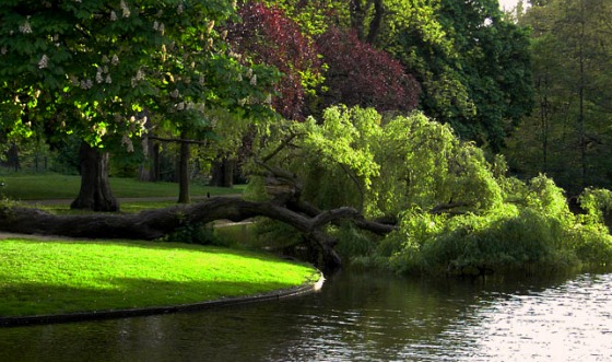 Amsterdam Vondelpark lake