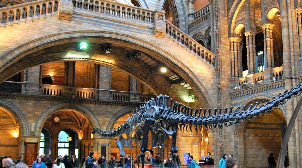 London Natural History Museum Foyer