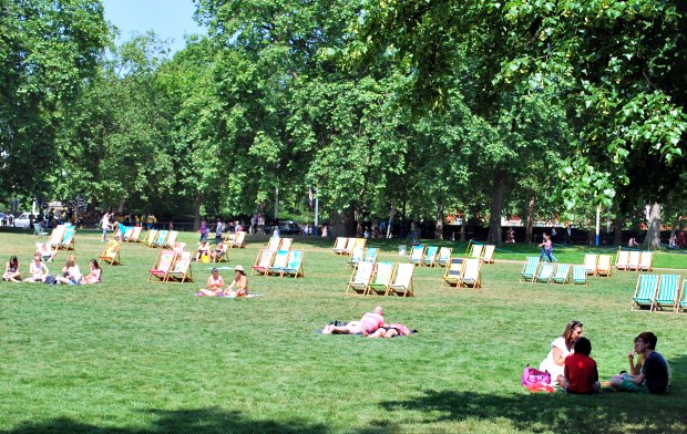 London Green Park Deckchairs