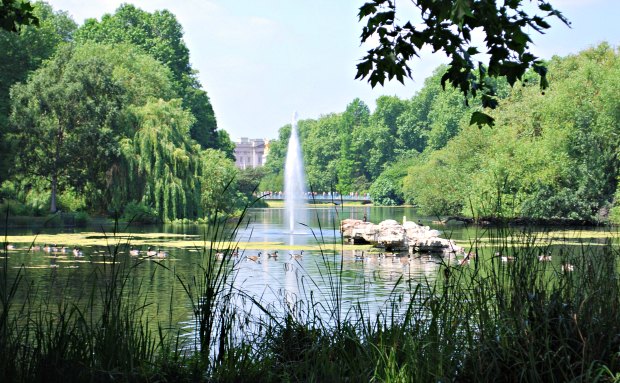 London St James's Park Fountain