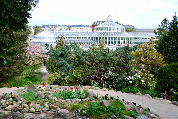 Copenhagen Botanic Gardens wide (www.free-city-guides.com)