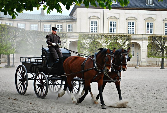 Copenhagen Slotsholmen horses (www.free-city-guides.com)