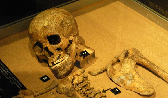York Jorvik Skeleton (www.free-city-guides.com) York Jorvik Skeleton (www.free-city-guides.com)