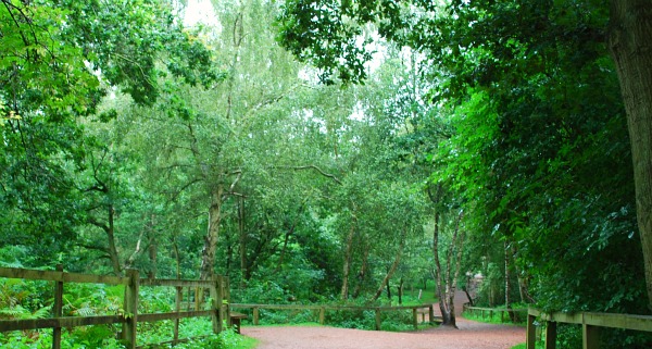 Nottingham Sherwood Forest walkway (www.free-city-guides.com)