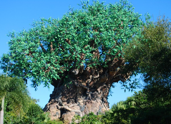 Orlando Animal Kingdom Tree (www.free-city-guides.com)