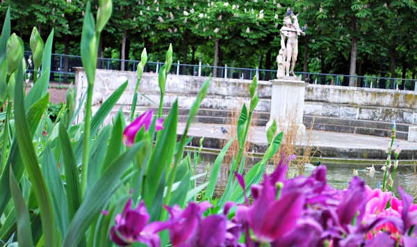 Paris Jardin du Tuileries pond (www.free-city-guides.com)