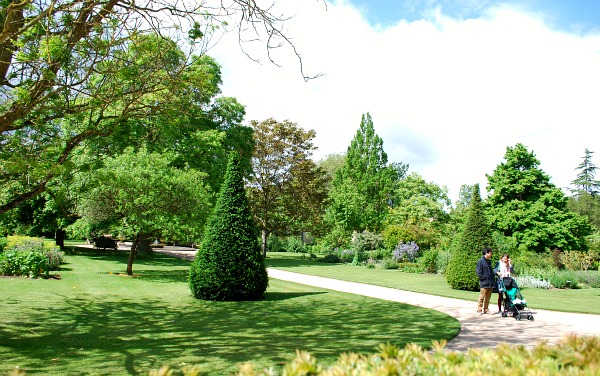 Oxford Botanic Garden trees (www.free-city-guides.com)