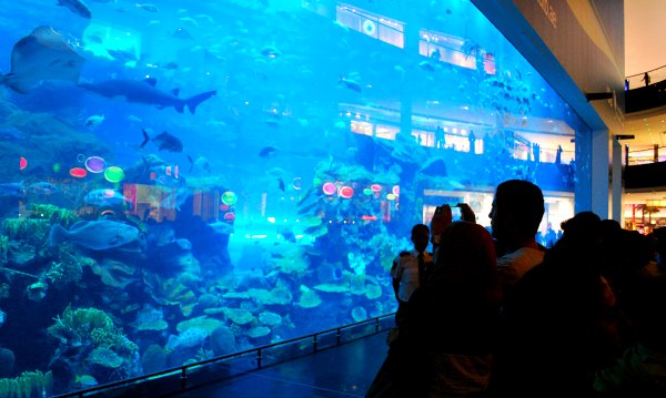 Dubai Aquarium External