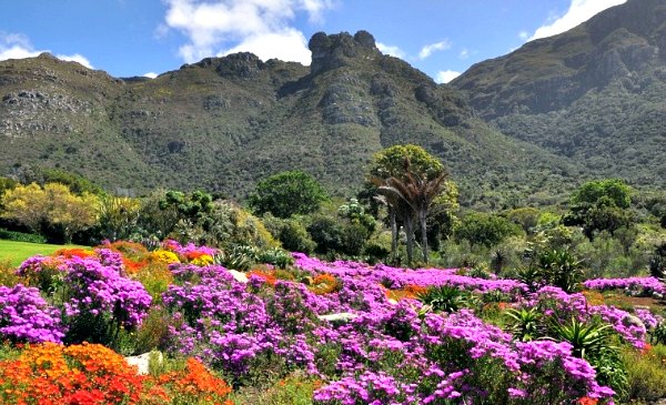 Kirstenbosch gardens prices Kirstenbosch gardens prices