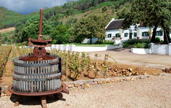 Cape Town Wine Tours winery