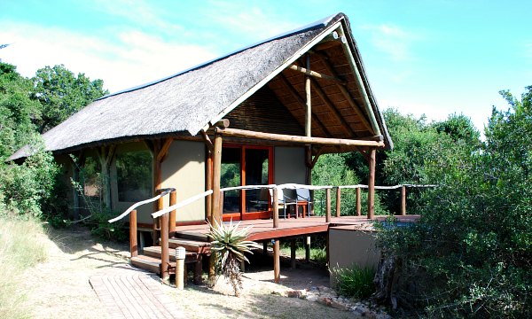 Shamwari Bayethe Tent