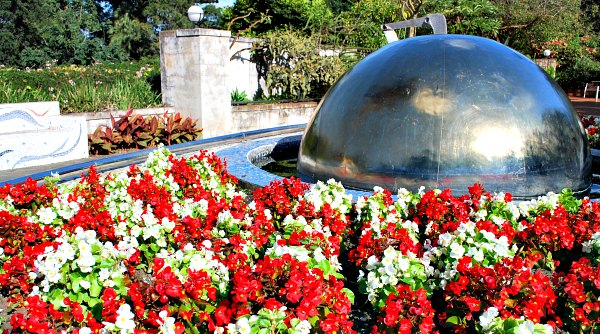 Durban Botanic Garden Water Feature