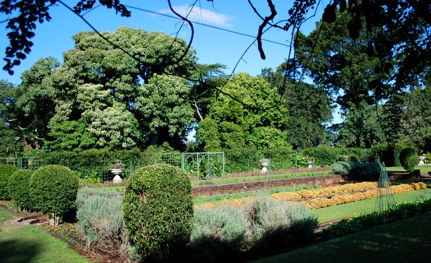 Durban Botanic Garden formal planting