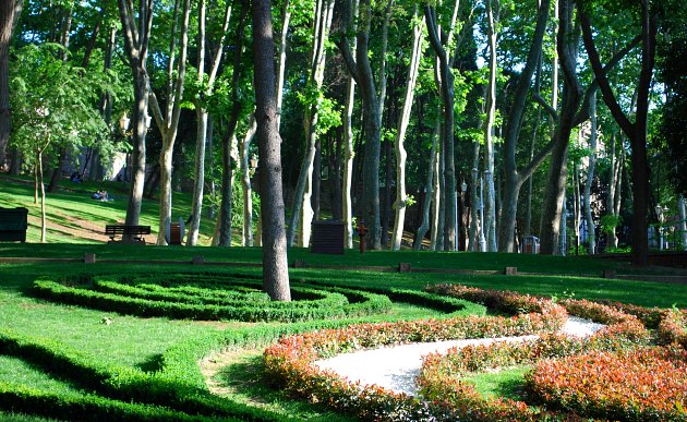 Istanbul Gulhane Park Grass