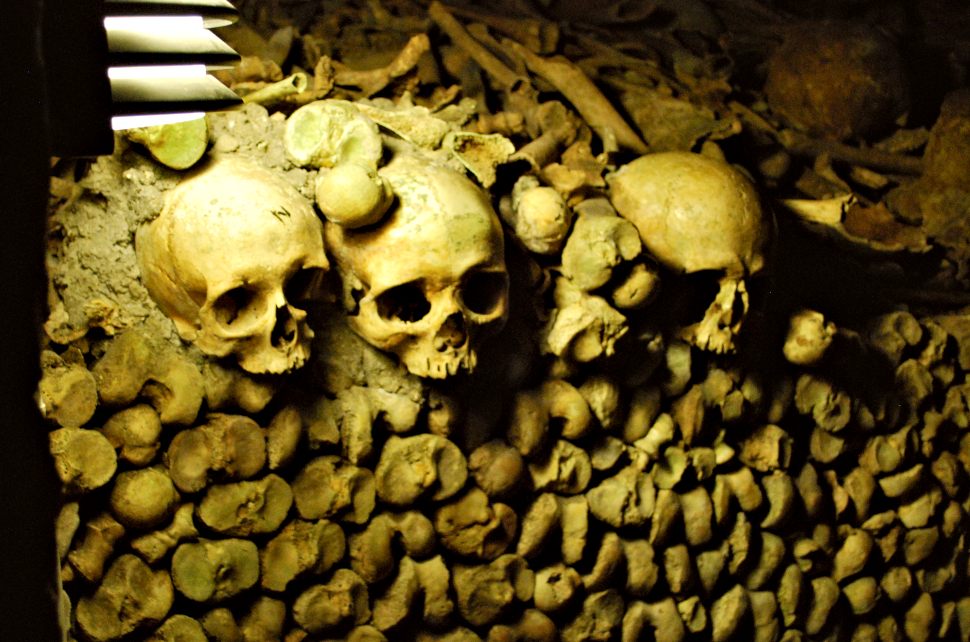 Paris Catacombs Skulls New