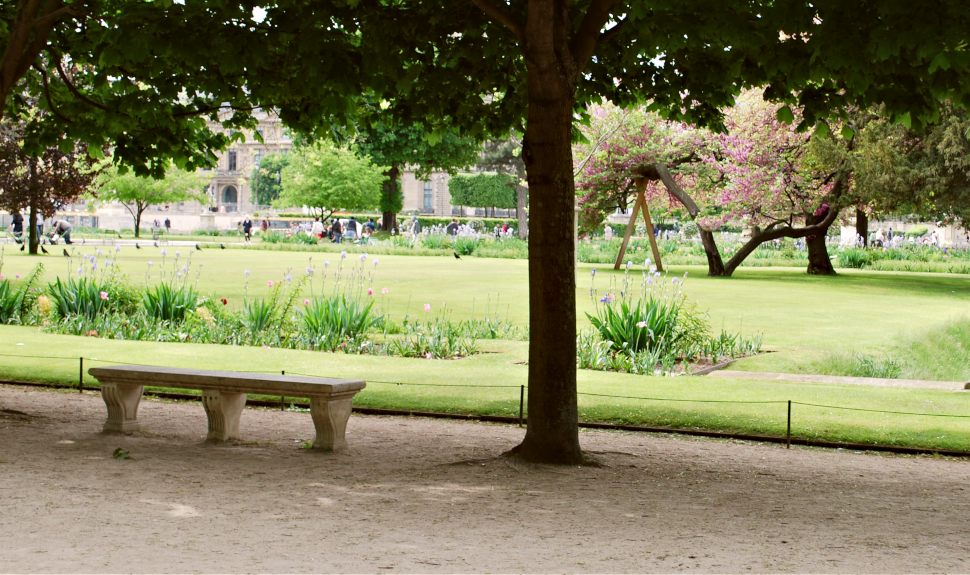 Paris Jardin de Tuileries Bench